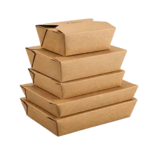 Kraft Paper Fold Box #8