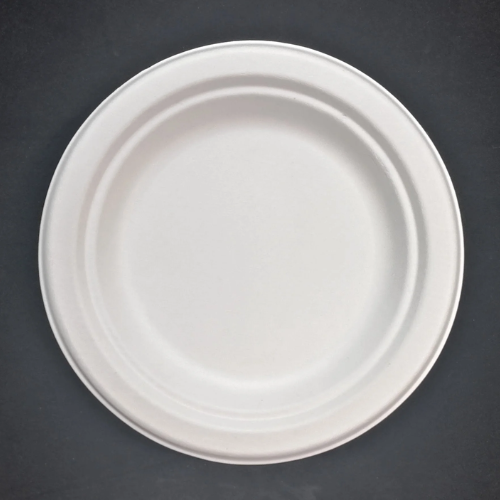 9” Bagasse Plates