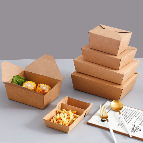 Kraft Paper Fold Box #3
